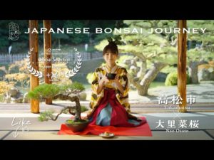 Takamatsu BONSAI Journey：Discover Takamatsu City